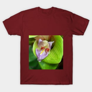 Ginger Bloom T-Shirt